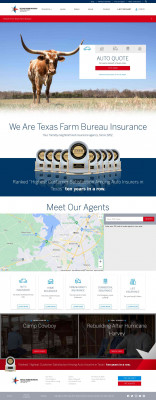 Log In | PolicyHolder | Texas Farm Bureau Insurance Log In | PolicyHolder | Texas Farm Bureau Insurance