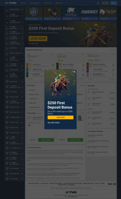 Online Horse Racing Betting | Watch Horse Racing Live at TVG Online Horse Racing Betting | Watch Horse Racing Live at TVG