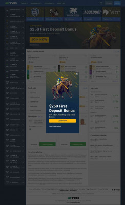 Online Horse Betting: Bet Horseracing Live | Great Odds - TVG Online Horse Betting: Bet Horseracing Live | Great Odds - TVG