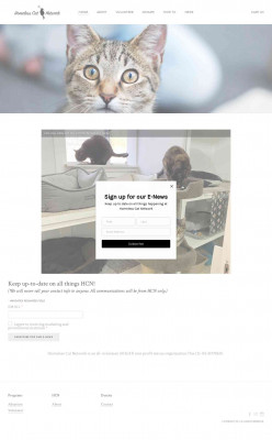 News - Homeless Cat Network News - Homeless Cat Network