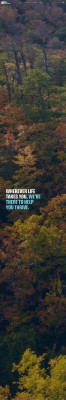 ORNL Federal Credit Union | Banking, Loans, Investments ... ORNL Federal Credit Union | Banking, Loans, Investments ...