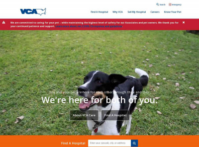 Michele Hoot | VCA Catoosa Animal Hospital Michele Hoot | VCA Catoosa Animal Hospital