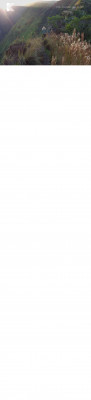 Grant Agency Access To Your Merchant Center Account Grant Agency Access To Your Merchant Center Account