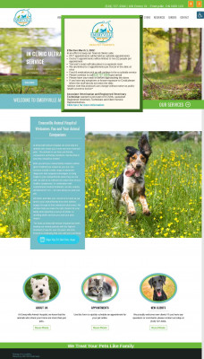 Pet Microchipping In Emeryville, ON Pet Microchipping In Emeryville, ON