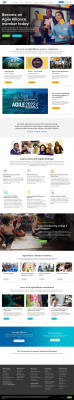 KCLYNE@RALLYDEV.COM @KCLYNE - Agile Alliance KCLYNE@RALLYDEV.COM @KCLYNE - Agile Alliance