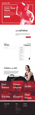 Wodify Pulse Heart Rate Monitor - CrossFit 9 Wodify Pulse Heart Rate Monitor - CrossFit 9