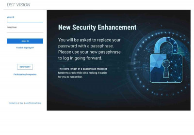 Vision Info - DST Vision Vision Info - DST Vision