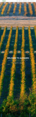 National fuel payment - Alixagro National fuel payment - Alixagro