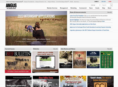 Angus Search Page Angus Search Page