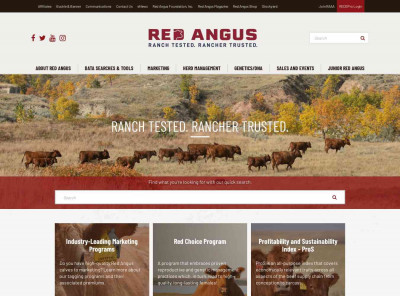 Red Angus Association Red Angus Association