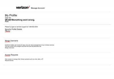 My Business Account Getting Started ... - Billing Structures My Business Account Getting Started ... - Billing Structures