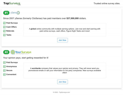 Top Surveys Top Surveys