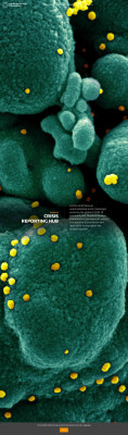 COVID-19 Crisis Reporting Hub | Thomson Reuters Foundation COVID-19 Crisis Reporting Hub | Thomson Reuters Foundation