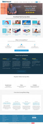 What Are Cint Surveys and How You Can Take Them What Are Cint Surveys and How You Can Take Them