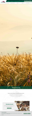 eStatements | Pinnacle Bank eStatements | Pinnacle Bank
