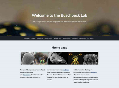 People - Welcome to the Buschbeck Lab People - Welcome to the Buschbeck Lab