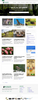 11 Types of Squirrels in the United States (With Pictures) 11 Types of Squirrels in the United States (With Pictures)