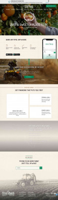 First Bank | Personal & Business Banking First Bank | Personal & Business Banking