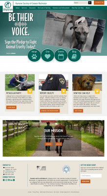 Adopt a Working Cat - Lollypop Farm Adopt a Working Cat - Lollypop Farm