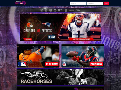 www.wagercat247.com www.wagercat247.com