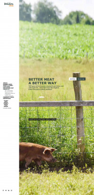 Walden Local Meat Co.: Homepage Walden Local Meat Co.: Homepage