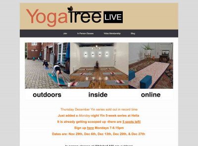 Yoga Tree | In Person & On-Demand | Come Grow With Us! Yoga Tree | In Person & On-Demand | Come Grow With Us!