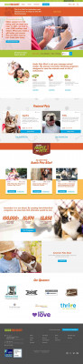 Petpoint Pet Marketing Contest - Austin Pets Alive! Petpoint Pet Marketing Contest - Austin Pets Alive!