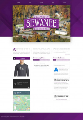 Sewanee Business Alliance Sewanee Business Alliance