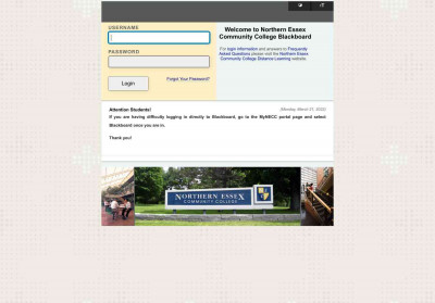 NECC Blackboard login NECC Blackboard login