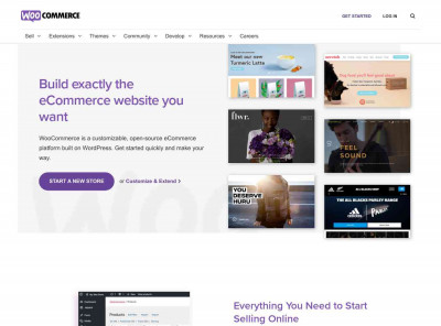 Moneris Gateway - WooCommerce Moneris Gateway - WooCommerce