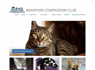 PLEASE SUPPORT - Branford Compassion Club PLEASE SUPPORT - Branford Compassion Club