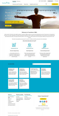 TransUnion CIBIL Products and Solutions TransUnion CIBIL Products and Solutions