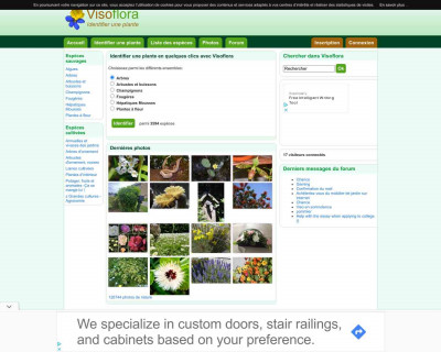 E-herbier de gomovies sur Visoflora E-herbier de gomovies sur Visoflora