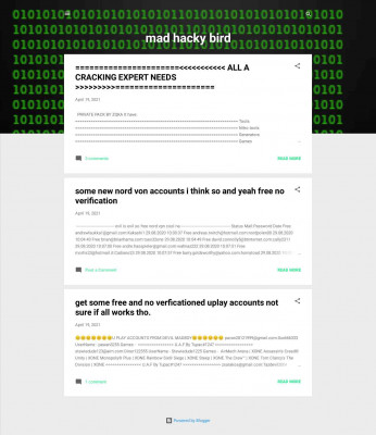 A CRACKING EXPERT NEEDS - mad hacky bird A CRACKING EXPERT NEEDS - mad hacky bird
