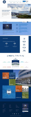 Arab International University Arab International University
