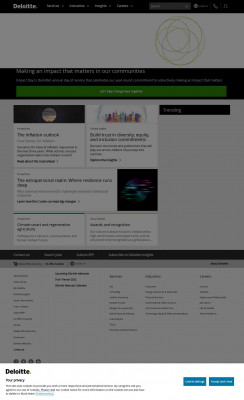 myInsight Client Edition | Deloitte Netherlands myInsight Client Edition | Deloitte Netherlands