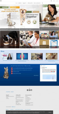 Frequently Asked Questions - vet.hills.co.th - Hill's Pet Nutrition Frequently Asked Questions - vet.hills.co.th - Hill's Pet Nutrition