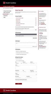 University of South Carolina: Direct Your Gift University of South Carolina: Direct Your Gift