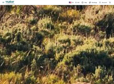 Log In | Viator Log In | Viator