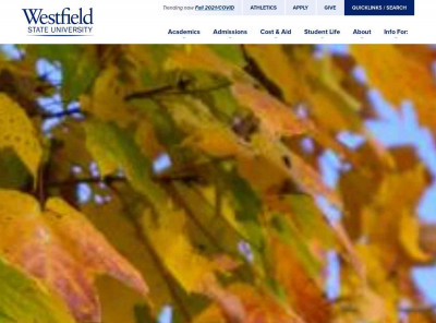 PLATO: ONLINE LEARNING - Westfield State University PLATO: ONLINE LEARNING - Westfield State University
