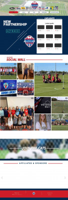 Competitive Participation | Alleycats Competitive Participation | Alleycats