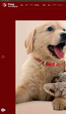 Veterinarians Cedar Rapids, IA | Frey Pet Hospital ... Veterinarians Cedar Rapids, IA | Frey Pet Hospital ...